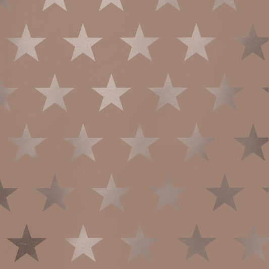 Cadeaupapier stars - rosé 70cm