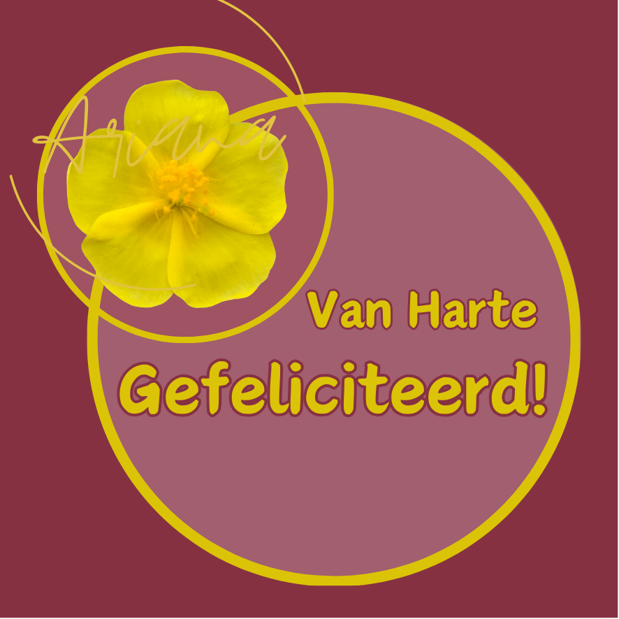 Cadeaukaartje Van harte gefeliciteerd