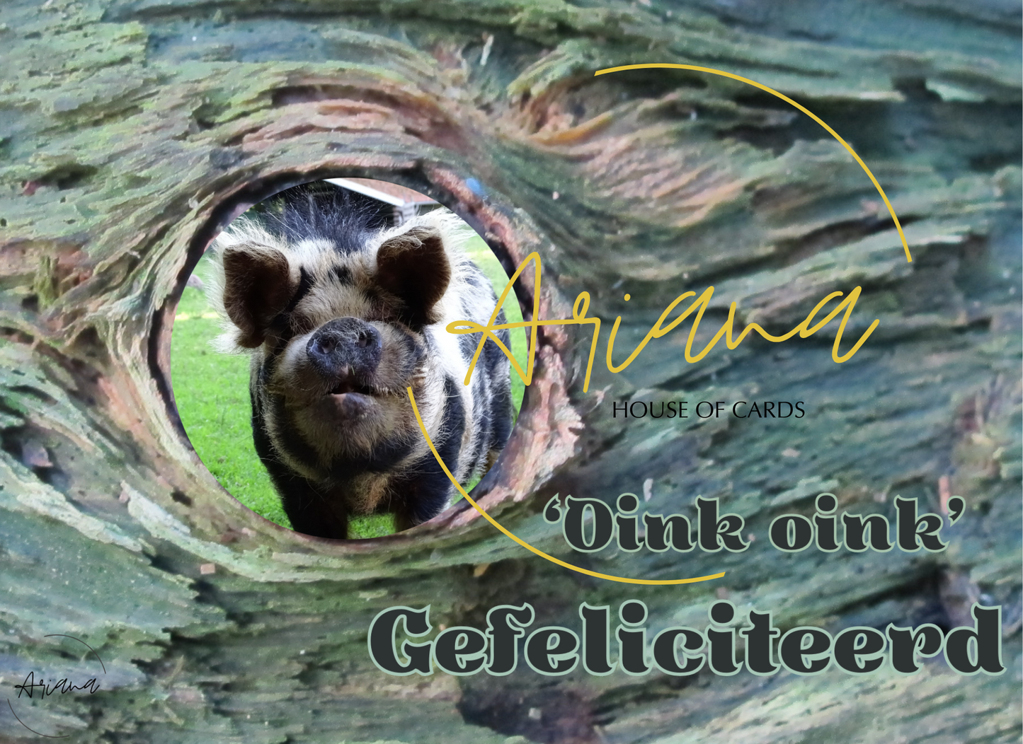 Kaart Oink, oink, gefeliciteerd