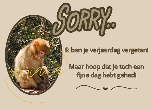 Kaart Sorry verjaardag vergeten, beige