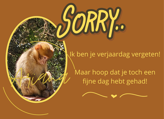 Kaart Sorry verjaardag vergeten