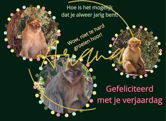 Kaart Gefeliciteerd met je verjaardag (apen)