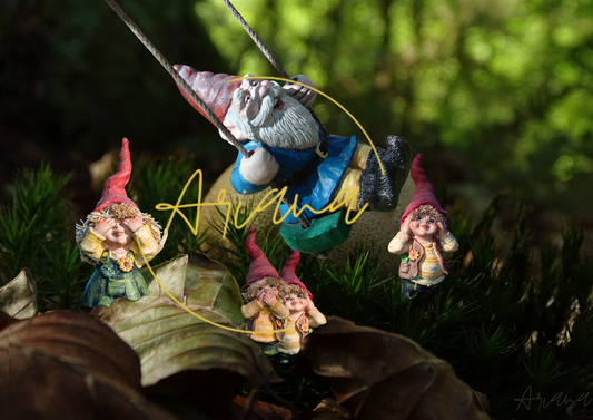 Poster | Gnomes